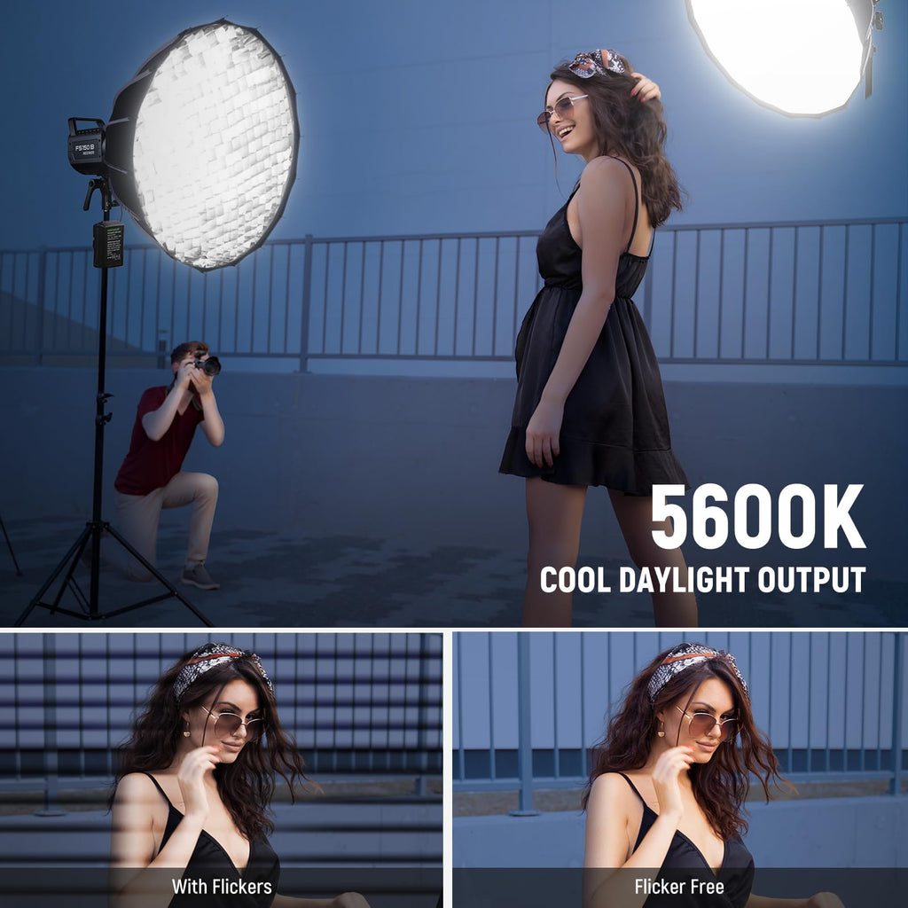 NEEWER Video Light